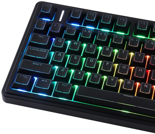 Sunzit PBT Keycaps,142 Tasten Custom Schwarz Shine Through Keycap Cherry Profil Dye-Sub Side Print Tastenkappen für MX Switches Mechanische Gaming Tastatur