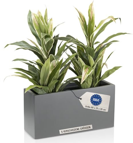 DECORAS Pflanztrog/Blumentrog (Grau-Matt) - Großer, robuster Fiberglas-Blumenkübel für Garten & Terrasse - Winterfester Pflanztopf - UV-beständig (Länge: 60 cm/Breite: 20 cm/Höhe: 30 cm)