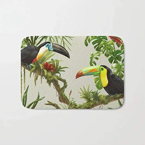 RQJOPE Badematte Fußabtreter Nordic Fußmatte Tukane und Bromelien Badeteppich Rutschfester Boden Outdoor Indoor Haustürmatte Badteppiche Weihnachtsfeier Hauptdekoration-50x80cm