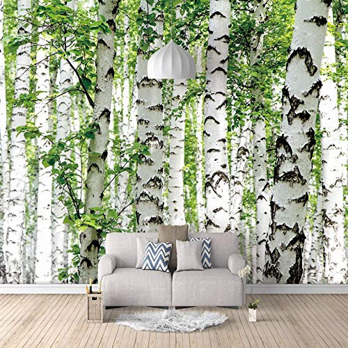 3D Fototapete Wandbild Birke Wald Aufkleber selbstklebende leinwand für Schlafzimmer Wohnzimmer Tv Hintergrund Wanddekoration Wandbilder 350cm(W) x256cm(H)-7 Stripes