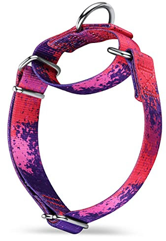 Dazzber Martingale Hundehalsbänder Bunte Ölgemälde Muster Serie - No Pull Haustierhalsband Seidig weich für mittlere und große Hunde (Mittel, 2,5 cm breit, Lila Geheimnis)