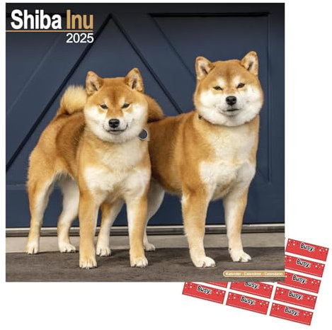 Shiba Inu Kalender 2021 | Eckiger Hunderasse Wandkalender | 16 Monate | mit Organisationsaufklebern