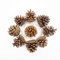 TRIXES 9pc Hanging Pine Cone Decoration – Christmas Tree Decorations - Natural Cones for Baubles, Wreath, Garland – Ornament for Autumn Décor Craft Party Xmas for Home Indoor and Outdoor Use