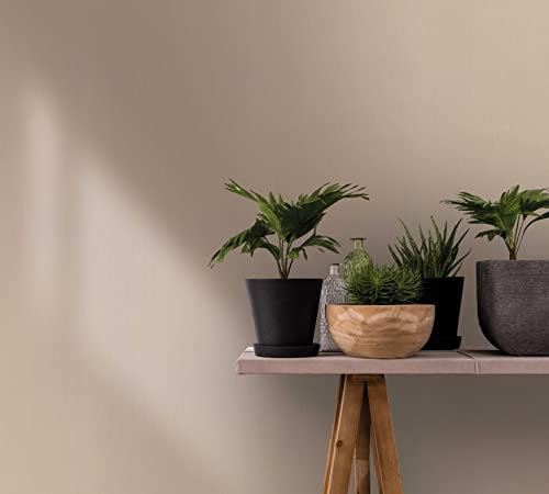 marburg Tapete Beige Uni für Schlafzimmer Wohnzimmer oder Küche Made in Germany 10,05 x 0,70m