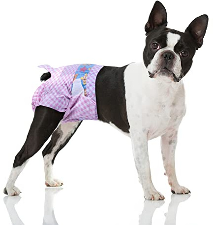 Flying Paws Couches Jetables Chienne Femelle, M 40 Pièces, Pack Économique Longue Durée, Chaleur, Incontinence, Voyage,Taille 30-50 cm, Super Absorbantes et avec Indicateur, Couche pour Chat