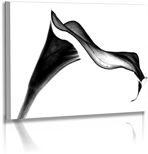 Fotoatelier Dirk Haas Premium Leinwandbild XXL - Natur - Blumenfotos - Bilder - Schwarz - Weiss - Calla - Blume - Leinwand : 45 cm x 30 cm