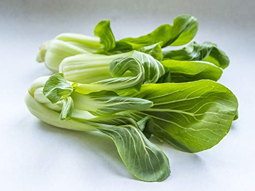 300 Semillas de Repollo Chino Pak Choi - Verduras antiguo huerto - Semillas campesinas reproducibles - SemiSauvage