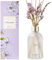 COCORRÍNA Raumduft Reed Diffuser 200ml, Tanne Eukalyptus, Blume Zimmerduft mit 8 Duftstäbchen, für Badezimmer Regal Dekoration
