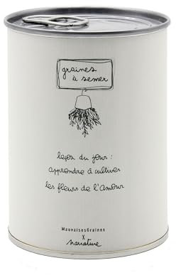 Mauvaises Graines - Kit de Fleurs à Semer en Boîte - Graines de Fleurs Colorées - Cadeau Original, Amis, Fêtes de Famille, Anniversaire - Simple à Utiliser - 100% Fabriqué en France (Leçon du jour)