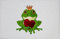 U24 Aufnäher Frosch Motiv Nr. 21 Fahne Flagge Aufbügler Patch 9 x 6 cm