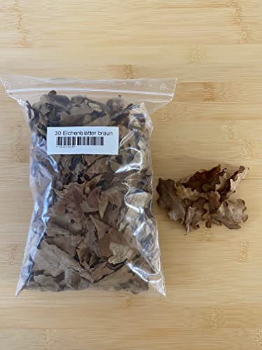 Eichenblätter getrocknet braun (30 Stück, ca. 25 Gramm) für Aquarien Garnelen Schnecken Fische Welse