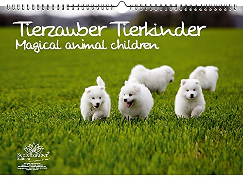 Tierkinderzauber DIN A3 Kalender - Immerwährender Kalender Tierbabys und Tierkinder - Seelenzauber