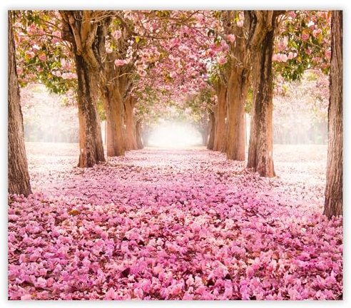 SMTDeco Herdabdeckplatte 60×52 cm – ESG gehärtetes Glas, kratzfest & rutschfest – Spritzschutz & Schneidebrett – für Induktion/Ceranfeld – 1-teilig, Motiv Blumen Garten Rosa