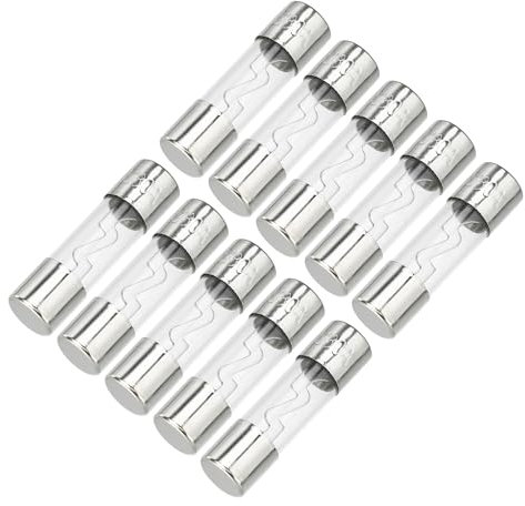 Partuto 10 Stück 10x38mm 0,39x1,50 Zoll 80A Universal AGU Glassicherung - Kfz-Sicherungsröhre zum Schutz der Stromversorgung - Metall Silberton