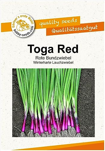 Zwiebelsamen Toga Red Winterheckenzwiebel Portion