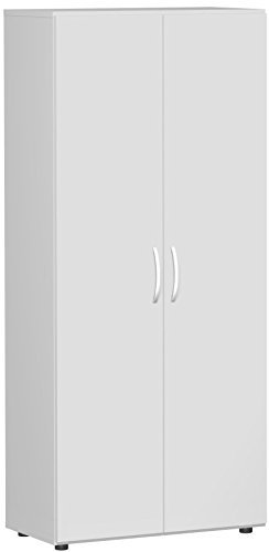 Gera Möbel Schranksystem Flex Flügeltürenschrank, Drehtürenschrank, Holzdekor, lichtgrau/lichtgrau, 80 x 42 x 180.8 cm