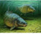 HHHU Puzzles For Adults 1000 Piece,Carp Fish Jigsaw Puzzle Intellectual Game Learning Toys Home Decoration Puzzle(75×50Cm)