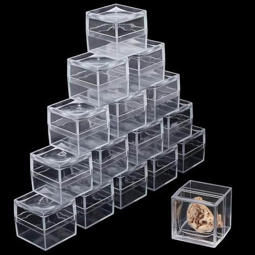 FINGERINSPIRE 16 Stück Sammelbox Kunststoff Quadrat Transparent 4x4x3.8cm | Transparenter Kunststoffbehälter, Für Mineralien Steine Edelsteine, Mini Quadrat Box, Einzellupe, Deckel Für Bessere Sicht
