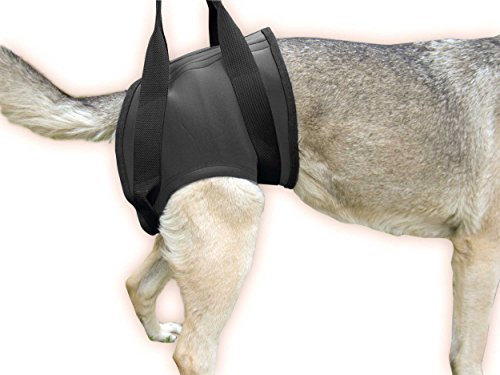 Julius K9 16NEO-HS/XXL, Neopren Gehhilfegeschirr, Hüftbereich, Größe: XXL, schwarz