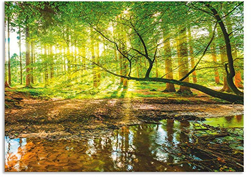 ARTland Spritzschutz Küche aus Alu für Herd Spüle 70x50 cm (BxH) Küchenrückwand mit Motiv Natur Landschaft Wald Bäume Sonne Bach Landhaus Grün T9IO