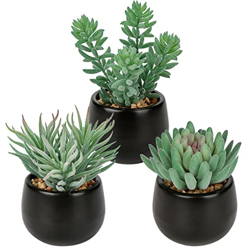 Oairse Lot de 3 Plantes artificielles succulentes artificielles dans Un Pot en céramique, Plantes succulentes artificielles en Pot pour Chambre, Maison, Salle de Bain, Chambre à Coucher, Bureau