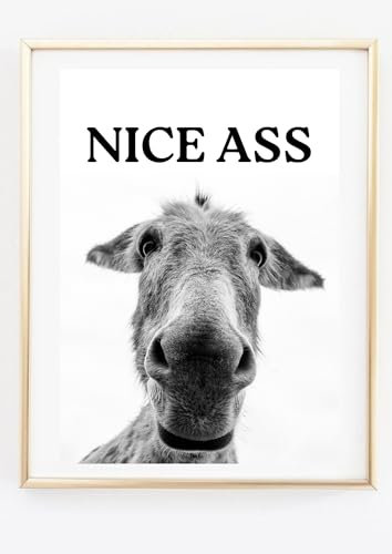 Kunstdruck Din A4 - Lustiger Spruch - Nice A... - Esel Badezimmer Gäste WC Toilette Klo Druck - Poster Bild - ohne Rahmen