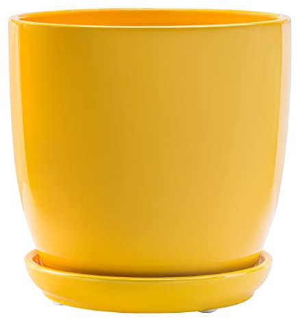 botle Klassischer Blumentopf Keramik Rund Glasiert Untersetzer mit Loch 5 Farben Weiß Gelb Grün Hellblau Betongrau 5 Größen D 13 15 17 18 20 24cm (Gelb, Höhe 12 cm)