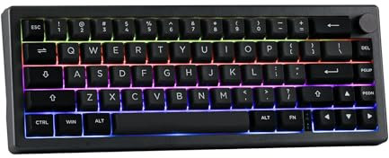 EPOMAKER EK68 65% Gasket NKRO Mechanische Tastatur, Hot Swappable Dreifach-Modus Gaming-Tastatur mit 3000mAh Akku, RGB-Beleuchtet für Büro/Home/Win/Mac (Black Silver, Flamingo Switch)