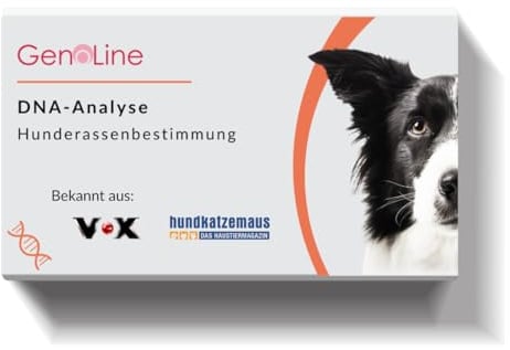 GenoLine DNA Hunderassenbestimmung + MDR1-Gendefekt