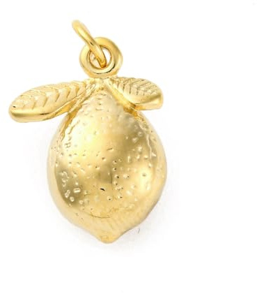 DanLingJewelry 5 Stück goldene Obst-Charm-Anhänger aus Edelstahl, Zitronen-Charms für DIY-Schmuck, Halsketten, Ohrringe, Armbänder, Herstellung