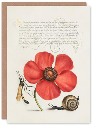 Artery8 Model Book of Calligraphy Art Card Poppy Snail and Crane Fly
