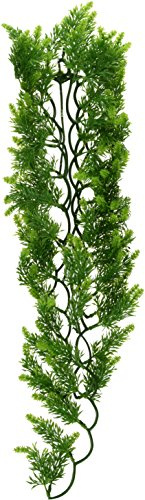 Zoo Med BU-42 Malaysian Fern, Large