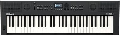 Roland GO:KEYS 5 Music Creation Keyboard | 61-Note Keyboard | Built-In Stereo Speakers | Mic Input | Bluetooth Audio/MIDI Support for Music Streaming - Graphite