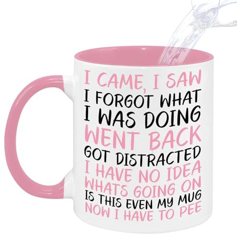 I Came I Saw I Forgot Funny Mugs for Men Presents Quirky Gifts for Women Novelty Mug Christmas Birthday Retirement Leaving Colleagues Funny Gifts Secret Santa Ceramic Coffee Mug 350ml Pink