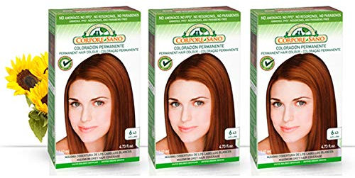 Corpore Sano Pack x3 Unidades Tinte Avellana 6.43 Permanente 140ml - Tinte de coloración sin amoníaco, resorcinol ni parabenos. Los champús naturales de Henna poténcia la durabilidad del color
