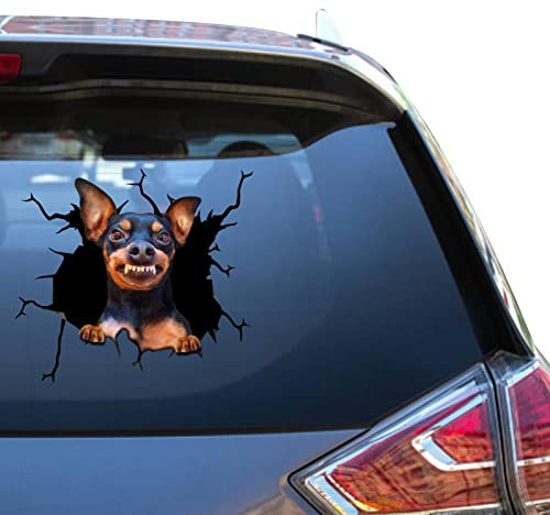Miniatur Pinscher Geschenke Frauen Mini Pinscher Aufkleber Wasserdicht Auto Sticers für Landwirte Coole kleine Rennen Atickers