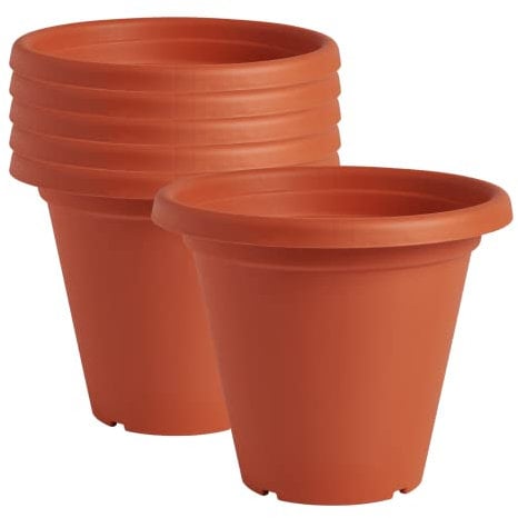 Clever Pots Plastic Plant Pot, 6 x 19cm/20cm Outdoor or Indoor Pot with Drainage Holes, Lightweight and Weather Resistant Planter for Flowers Plants