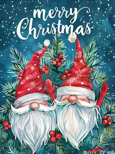 Bimkole DIY 5D Diamond Painting Kits Zubehör Zwerg, Weihnachten Diamant Malerei Kit Voll Runde Bohrer Malen nach Zahlen Malerei Stickerei Kreuzstich Diamond Dekoration 30x40cm