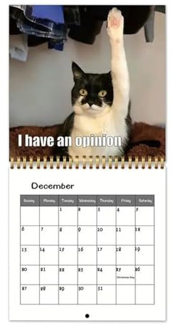 Selfie-Kalender für Katzen – 2026 Monatskalender für Katzen | Simons Cats Kalender 2026 | Katzenkalender 2026s | 12 Monate Kalender | Monatsplaner für Urlaub in