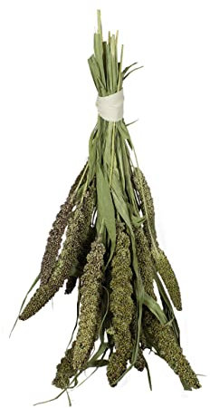 JR FARM Birds Grüne Senegalhirse 50 g