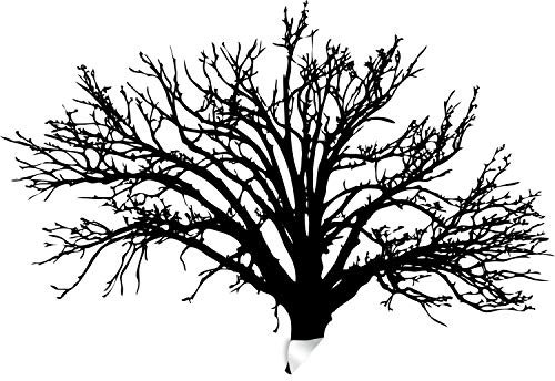 Decords Arbre Autocollant Sticker Mural Bouleau Art Vinyl pépinière Stickers Nature botanique Arbres Stickers forêt Decor Naturel Grand Hiver peler et Coller