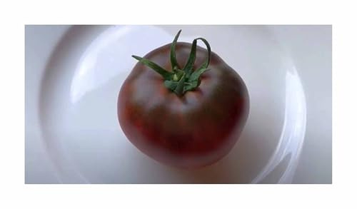 Pcs - 15x Tomato Black Russian - Old Types Seeds Salad Vegetables Garden KS398 - Seeds & Plants Shop by Ipsa