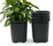 3 Gallon Nursery Pot Plastic Planters for Outdoor Indoor Plants Gardening Flower Pots 6-Pack Plant Pots with Drainage Holes