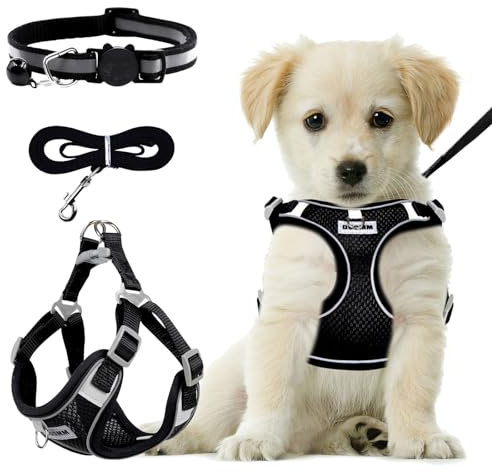 RAFIYU Dog Harness Medium Breathable Vest, Step-in Cat Puppy Harness and Lead Sets, Adjustable Reflective Anti Pull Dog Harness with Collars for Extra-Small/Small Medium Dogs Training or Walking (M)