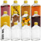 HEFTMAN Lot de 10 petites bouteilles en verre de 200 ml avec couvercles, hermétiques, réutilisables, parfaites pour le gin, le vin, le vinaigre, les boissons maison, les sauces, la décoration