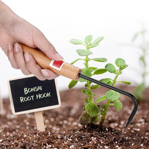 Telituny Garten-Bonsai-Haken, 22cm Professional Haken Bonsai Werkzeug Robuster Sauzahn Gartenhaken mit Holzgriff, Manganstahl Einzelne Klauenwurzel zum Graben Jäten Lockern Gartenarbeit Topflandschaft