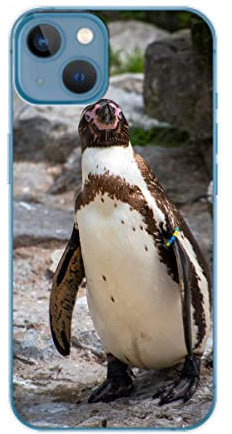 König Design Schutzhülle Kompatibel mit Apple iPhone 14 Plus Hülle TPU Eckenschutz Stoßfest Dünn Kratzfest Handyhülle für Apple iPhone 14 Plus - Pinguin