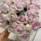 500 pcs Rosensamen schattenpflanzen winterharte kübelpflanzen Rosensamen Zum Pflanzen frühlingsblumen, winterharte kübelpflanzen balkon blumen seed balkongarten zimmerpflanzen samen,