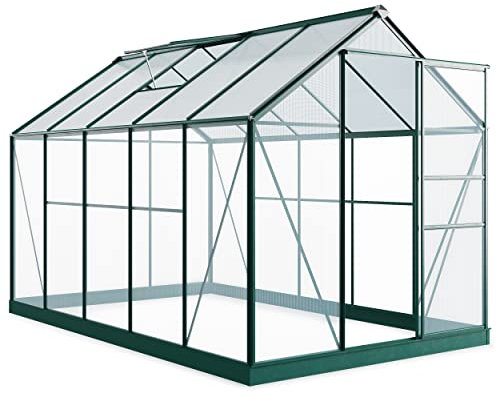 BillyOh 6x10 Aluminium Greenhouse with Polycarbonate Glazing | Walk-In Metal Frame Garden Green House with Roof Vents and Base Rosette Hobby