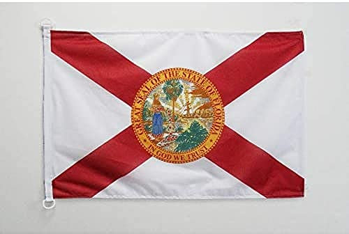 AZ FLAG - Flagge Florida - 90x60 cm - Bundesstaat Florida Fahne 60 x 90 Cm Aussenverwendung - Flaggen